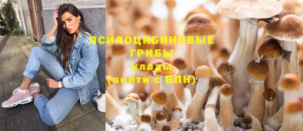 первитин Бугульма