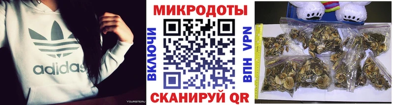 Галлюциногенные грибы мухоморы  продажа наркотиков  Карталы 